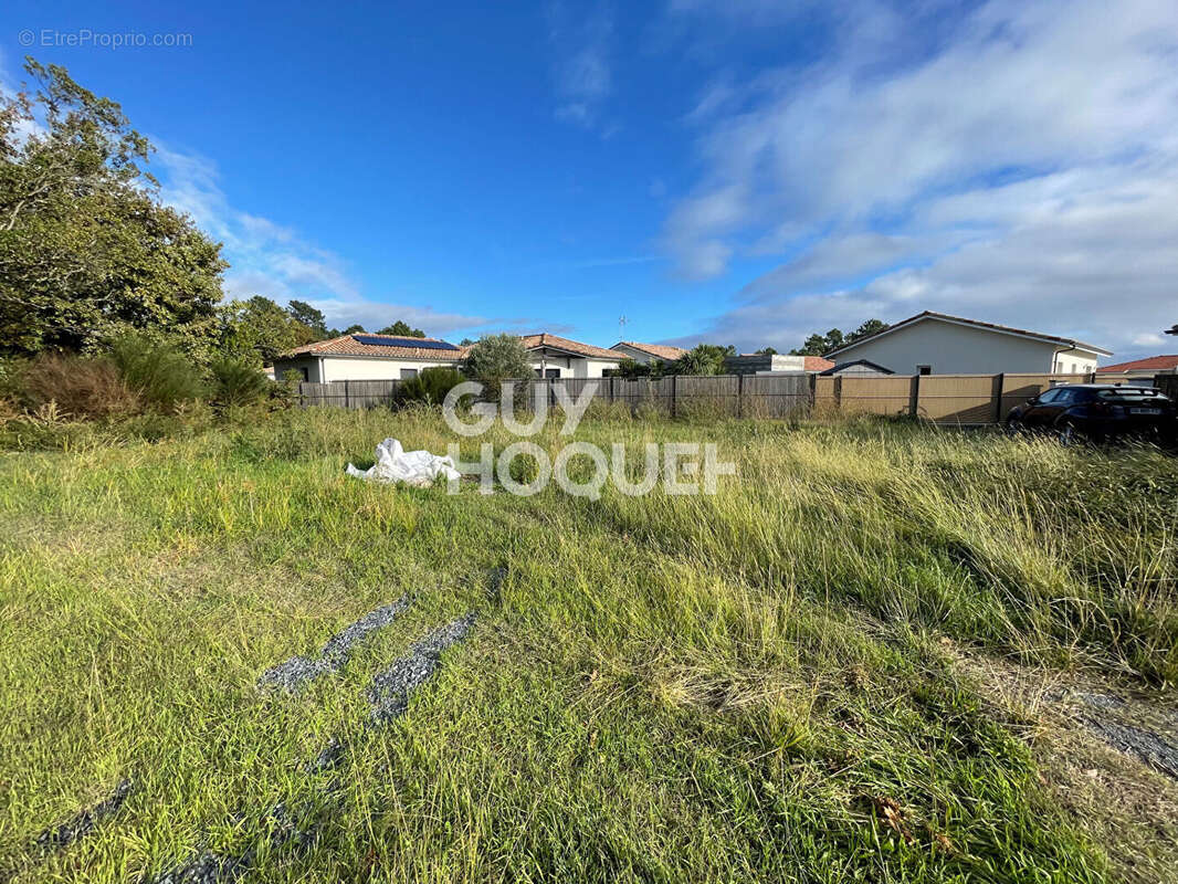 Terrain à PARENTIS-EN-BORN