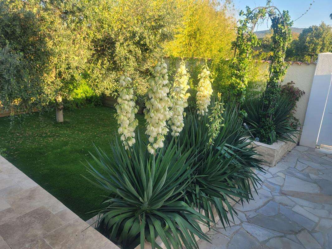 Maison à MONTARNAUD