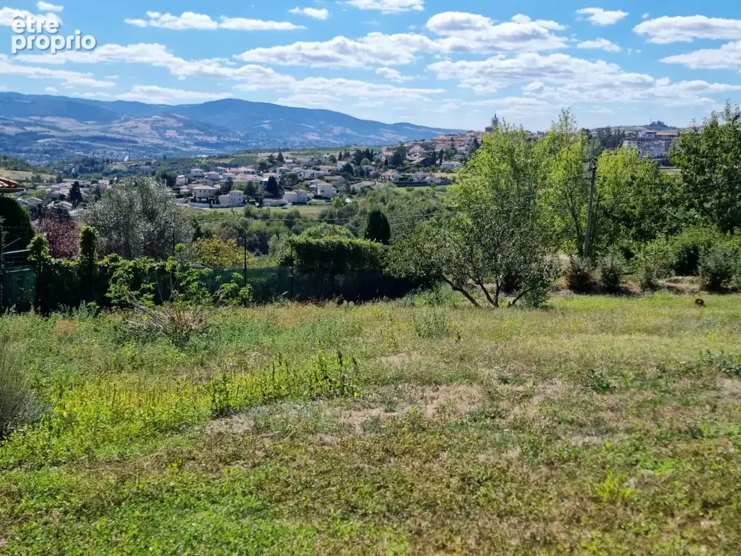 Photo Terrain à Saint-Martin-La-Plaine au prix de 192 000€