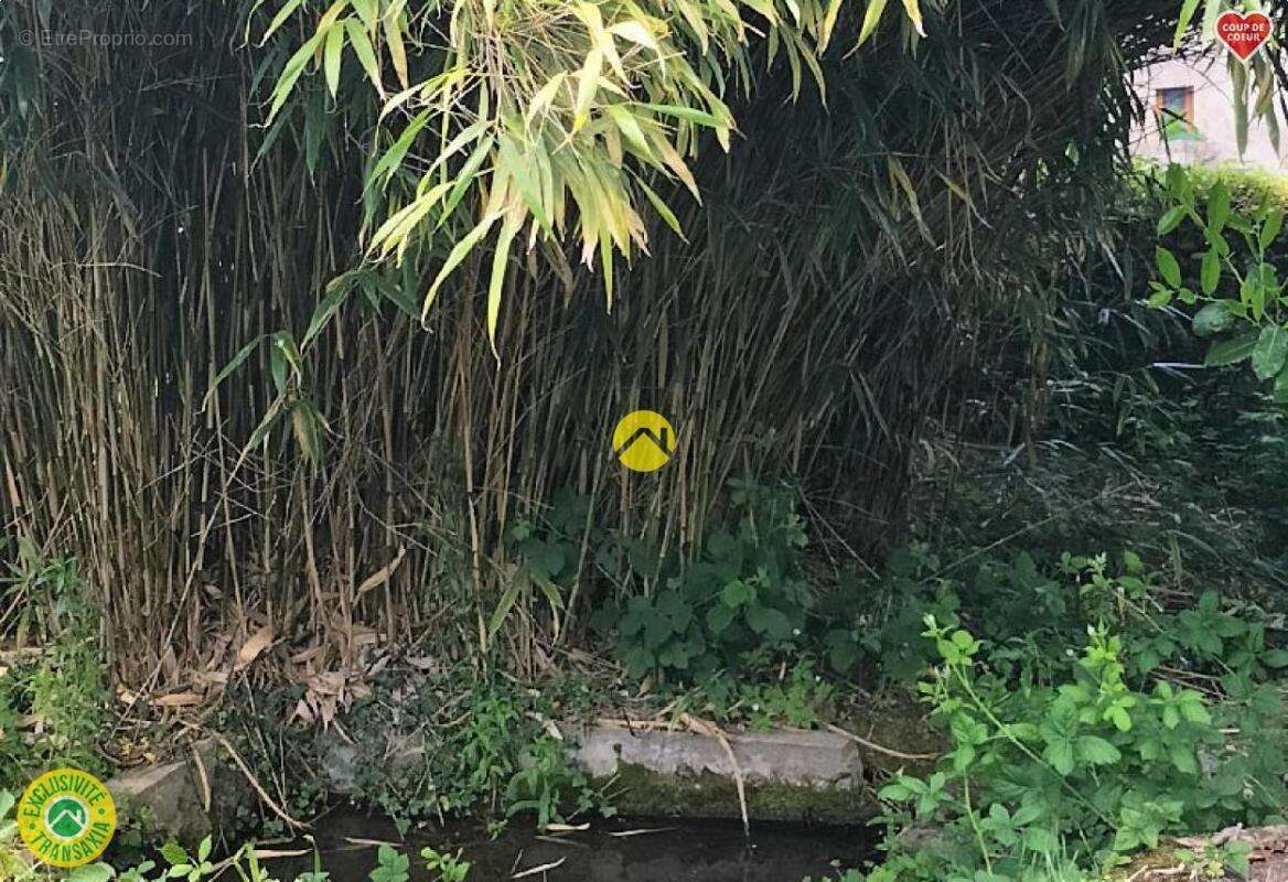 Maison à CHENERAILLES