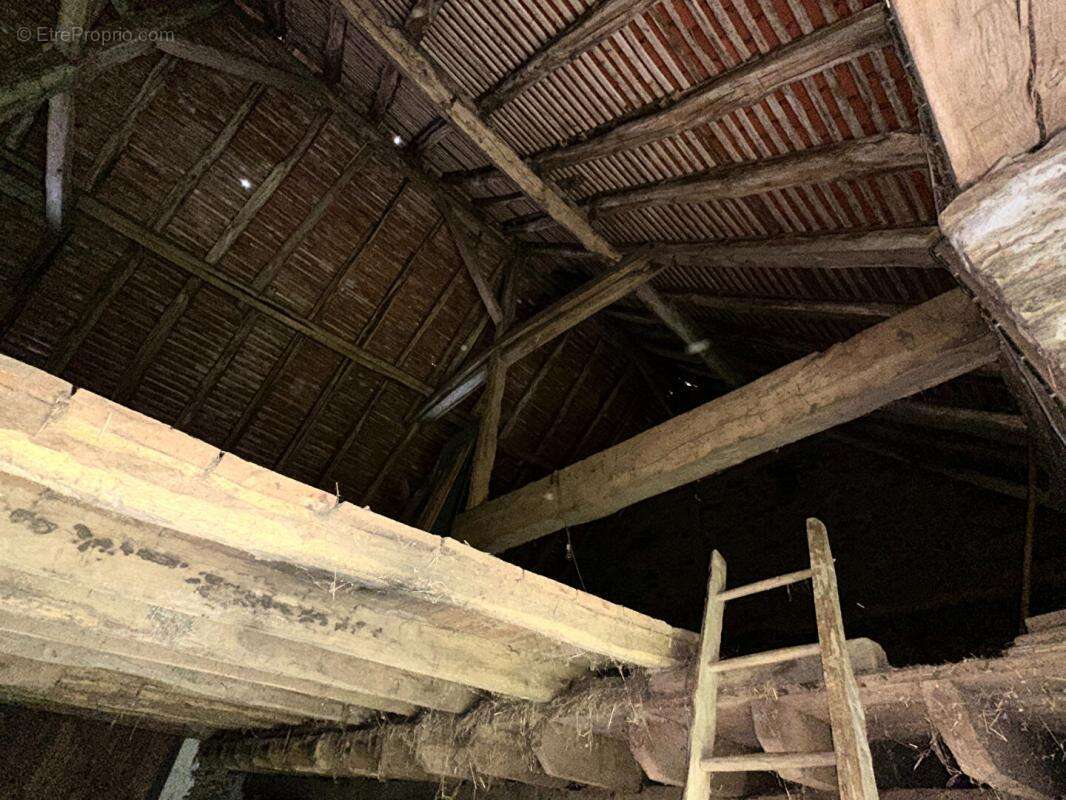 Maison à SAINT-JORY-DE-CHALAIS