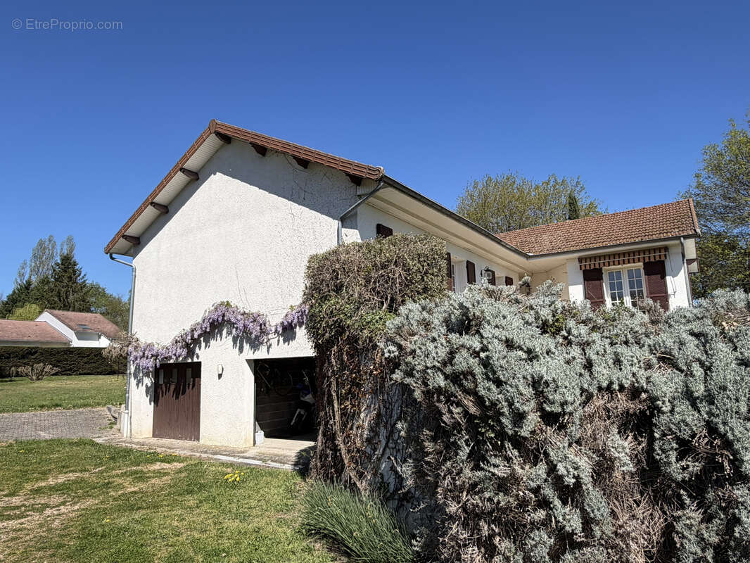 Maison à COURPIERE