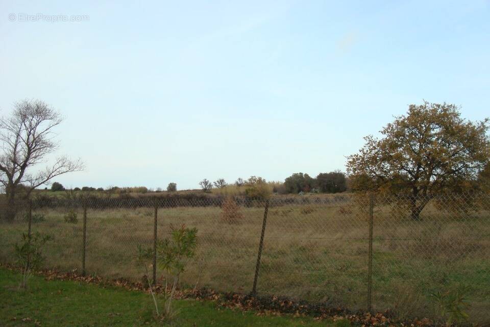 Terrain à TRESSERRE