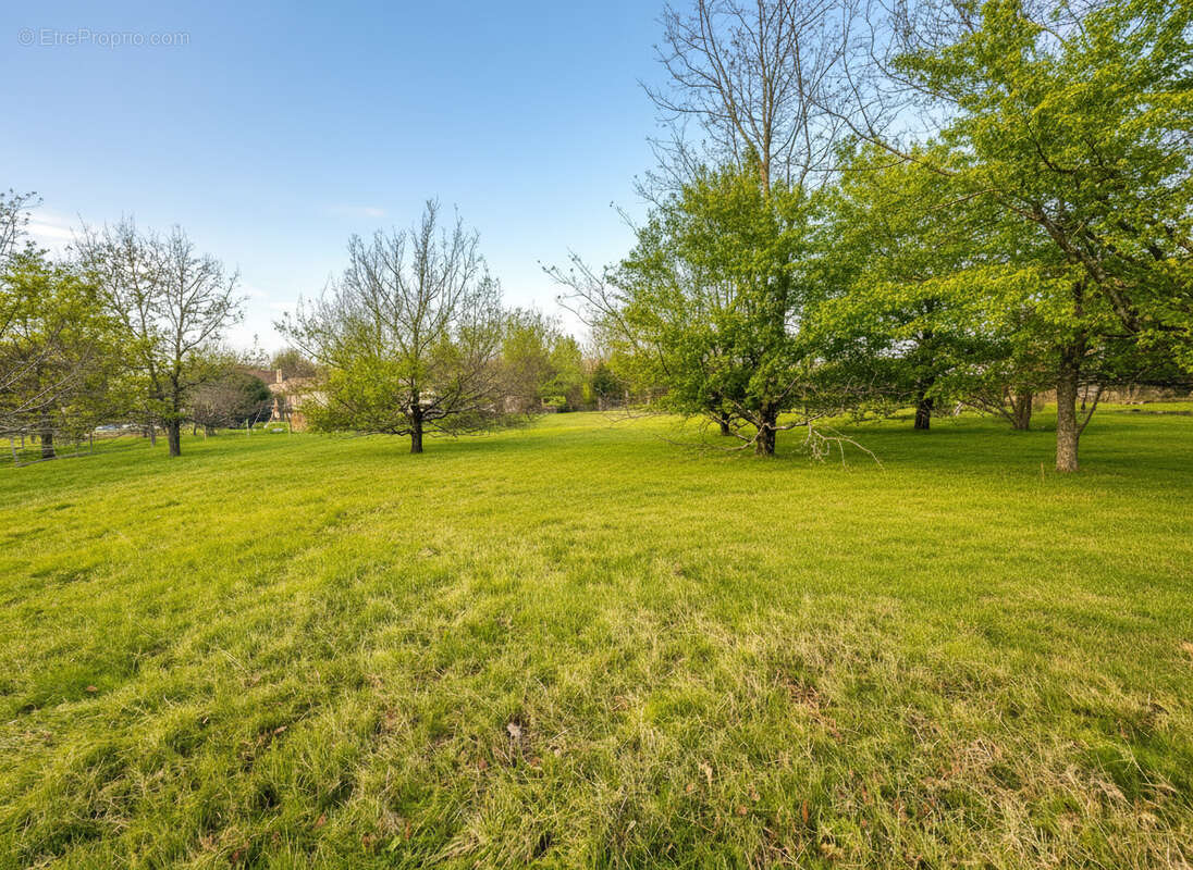 Terrain à MONTBERON