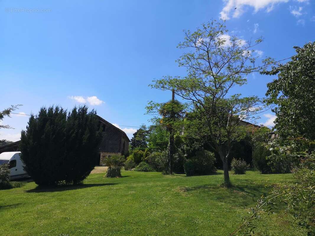 IMG20250516151438 - Maison à MONTESQUIOU