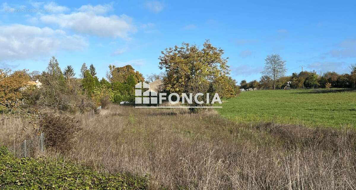 Terrain à SALLES-D&#039;ANGLES