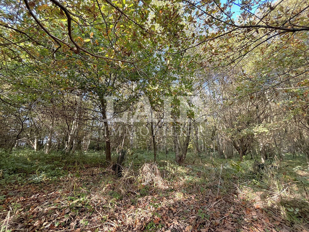 Terrain à SAINT-AQUILIN-DE-CORBION