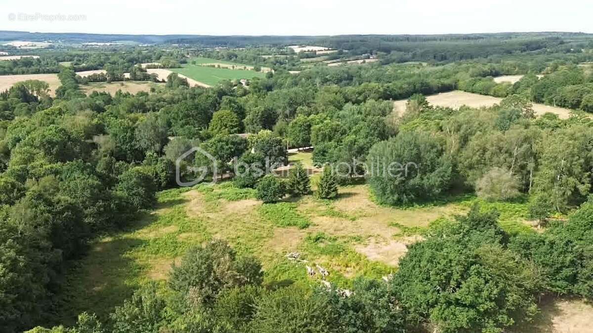 Maison sur plus de 28600 m2 de terrain - photo 13