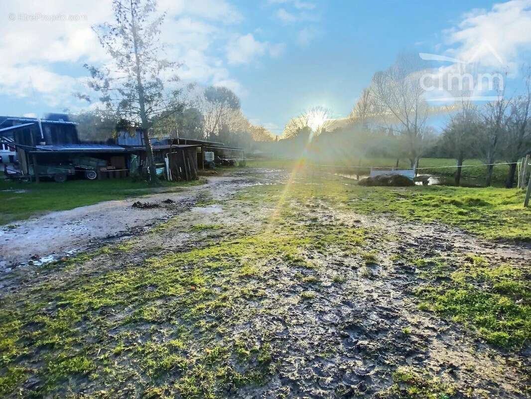 Maison à CHAUMONT-SUR-LOIRE