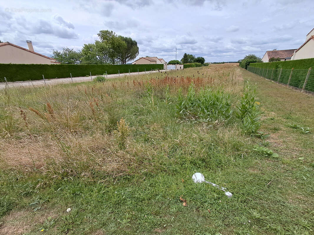 Terrain constructible de 1838m2 MONTAMISE-La Germonière - photo 2