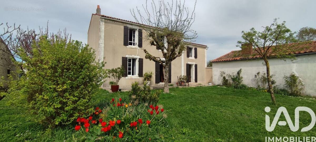 Photo 1 - Maison à SAINT-MEDARD-D'AUNIS