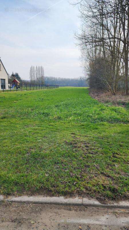 Terrain à SAINT-PAUL-AUX-BOIS