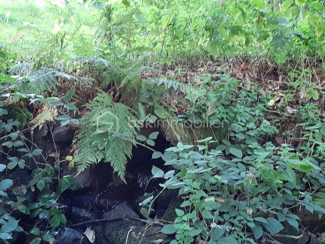 Terrain à COGNAC-LA-FORET