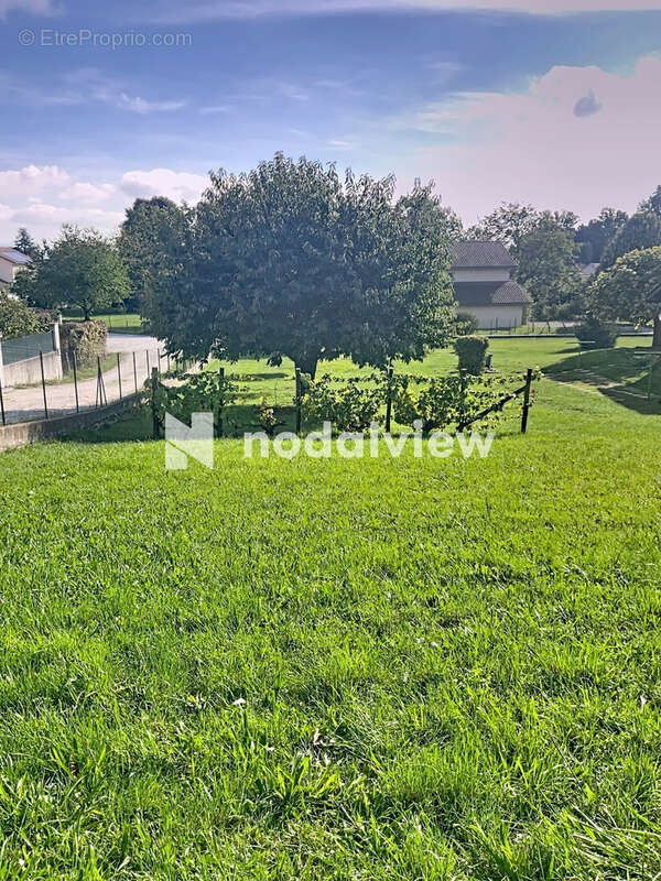 Terrain à SAINT-HILAIRE-DE-LA-COTE