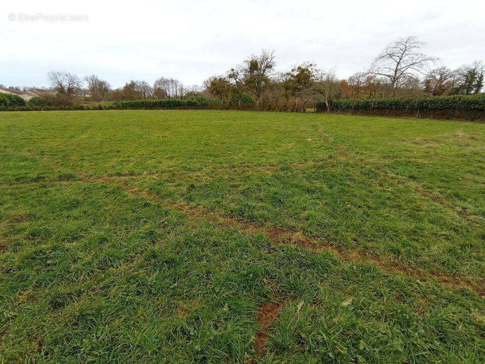 Terrain à LE MAYET-DE-MONTAGNE