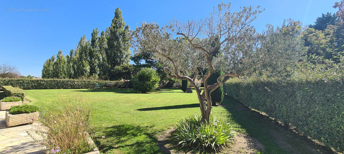 Maison à BARBENTANE