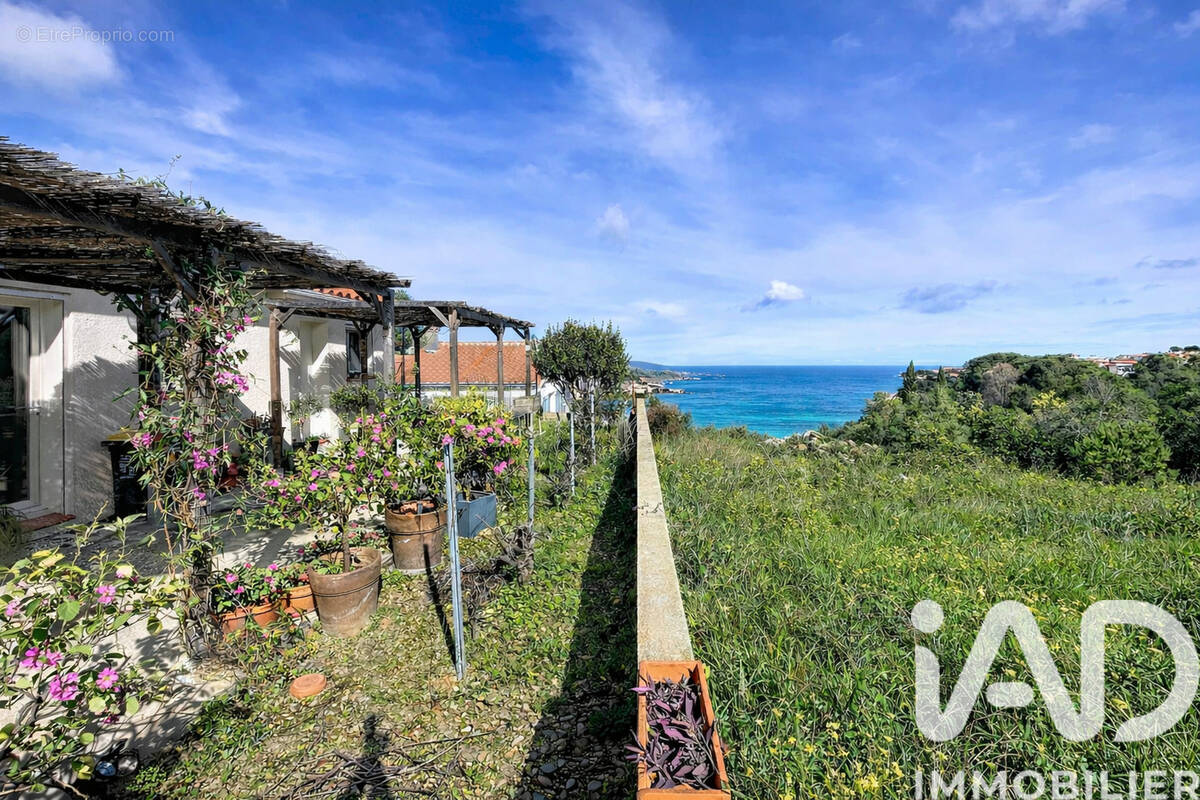 Photo 1 - Maison à BANYULS-SUR-MER