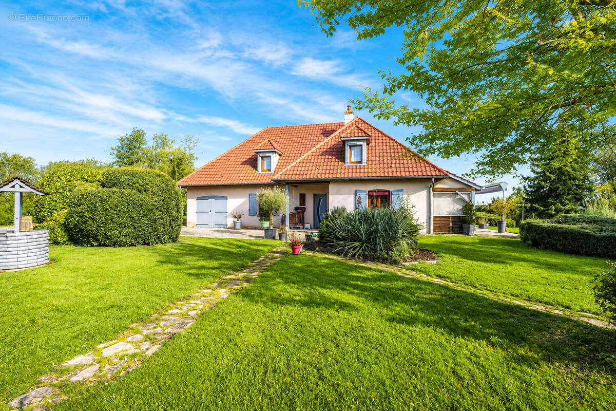 13 minutes à l'Est de Beaune : Maison 1994 avec grand terrain : 4 chambres : Pièce de vie de 40 m2 - photo 4