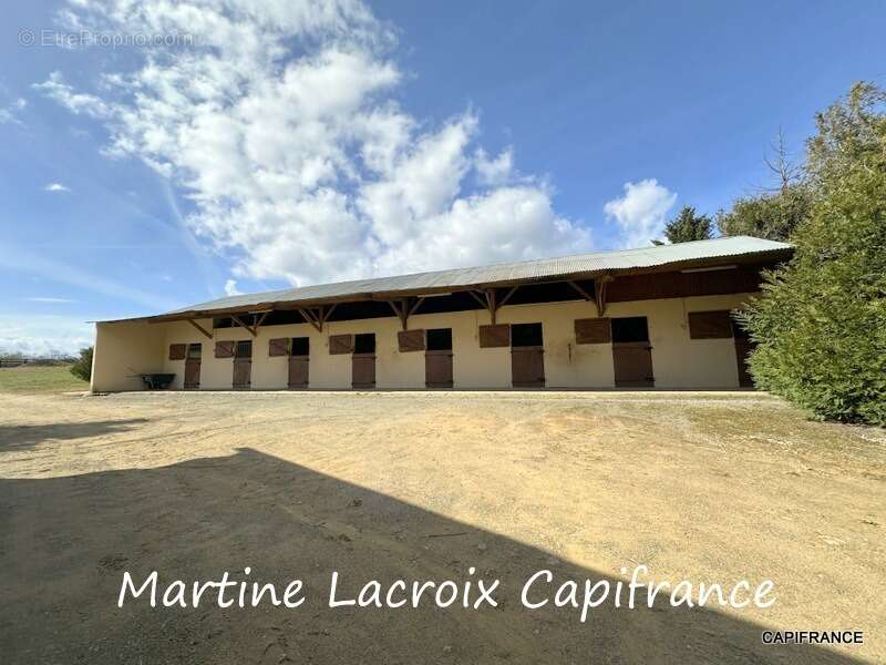 Dpt SARTHE (72), à vendre LA FERTÉ-BERNARD - PROPRIÉTÉ  P5 de 100 m² - Terrain de 10 Ha - photo 2