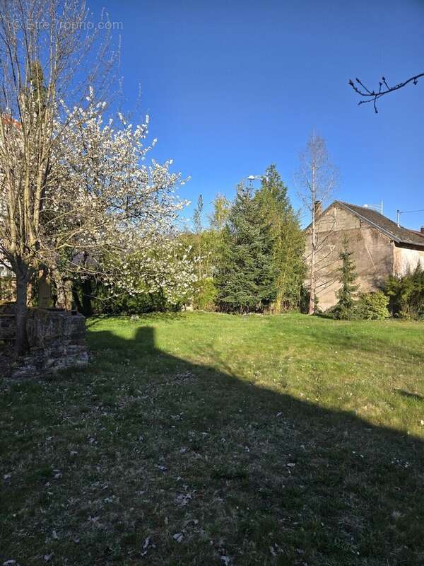 Maison à NIEDERHASLACH