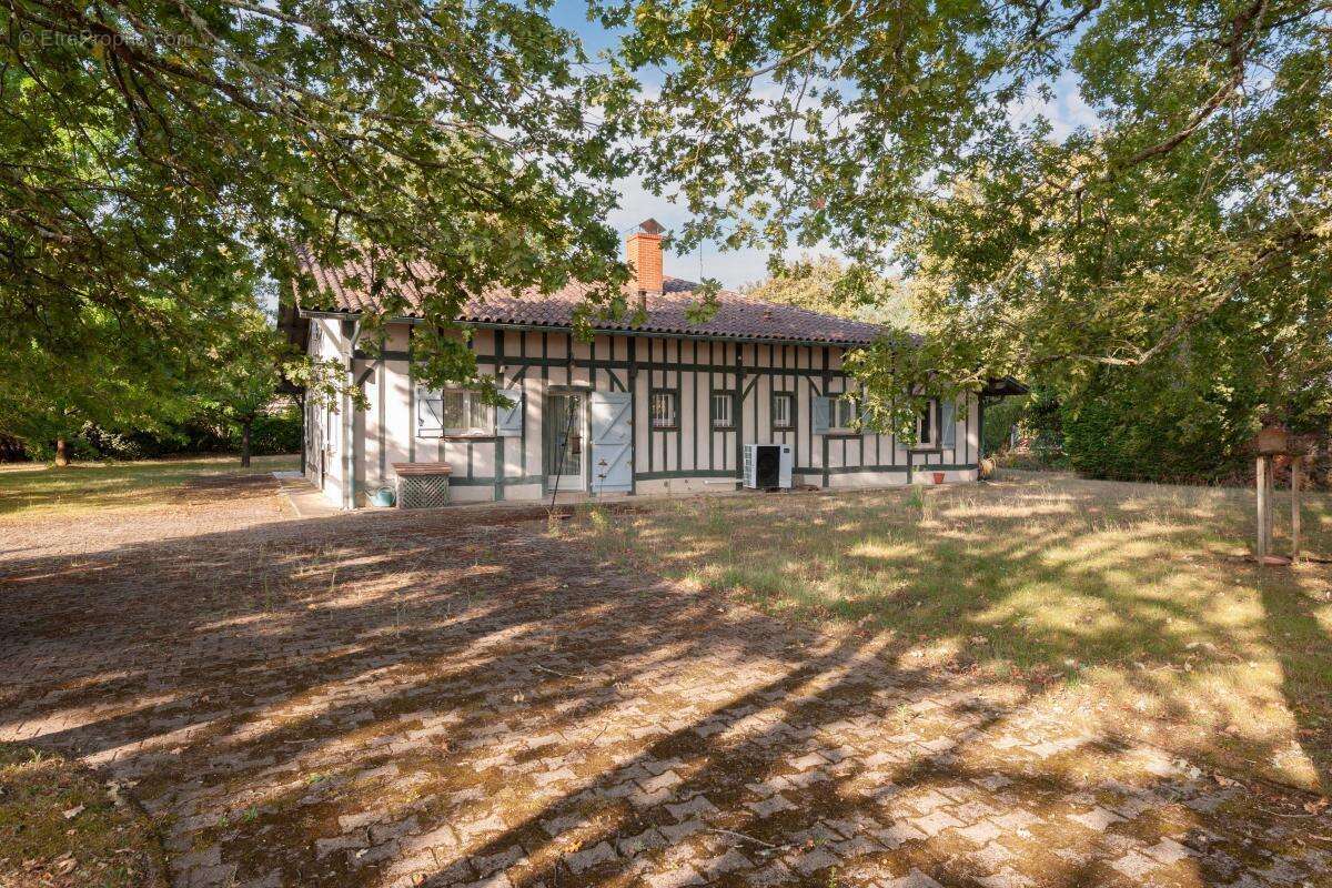 Authentique maison landaise de qualité - photo 10