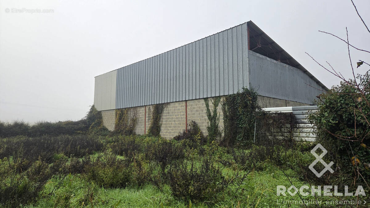 Appartement à PAILLE