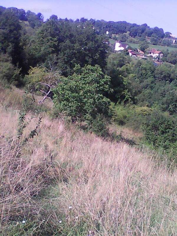 Terrain constructible - Figeac - photo 4