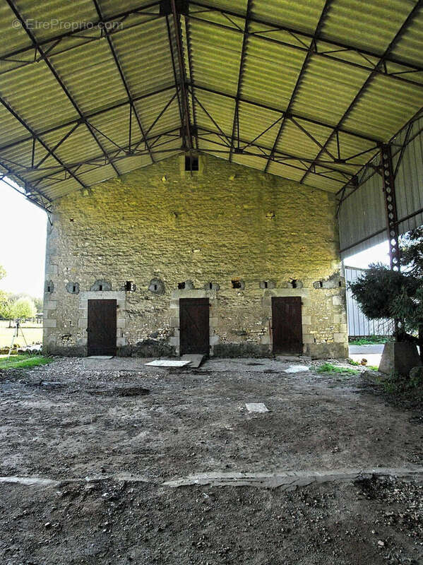 Maison de Maitre à vendre - Vienne - Maison à ROMAGNE
