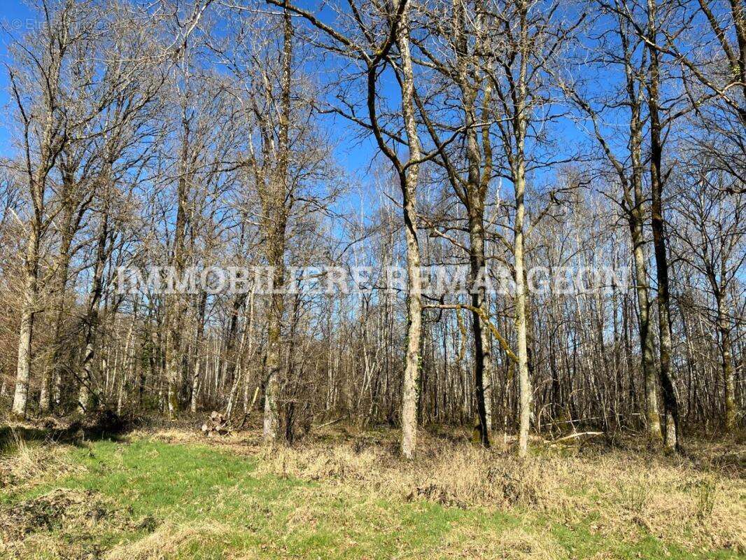 Maison à LAMOTTE-BEUVRON