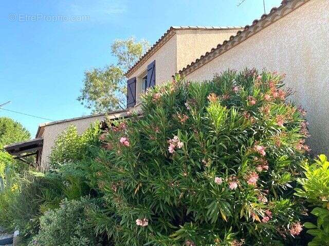 Maison à SAINT-PARGOIRE