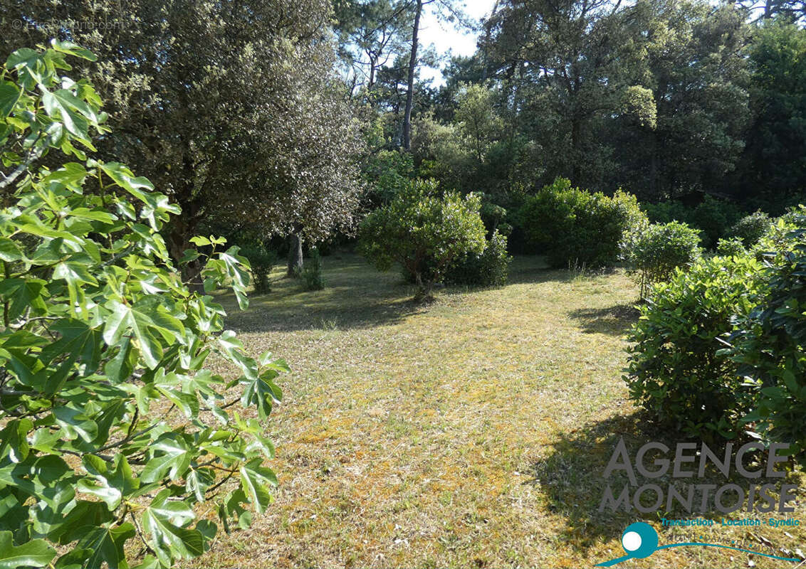 Maison à LA BARRE-DE-MONTS