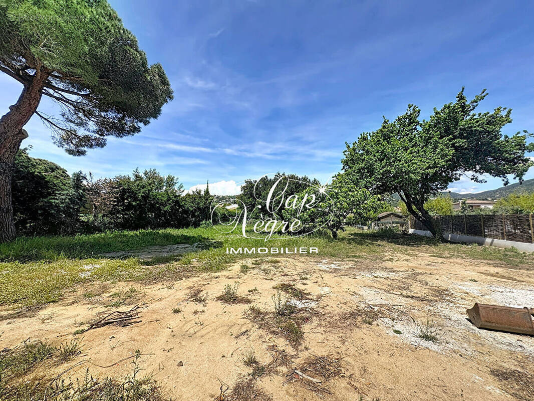 Terrain à BORMES-LES-MIMOSAS