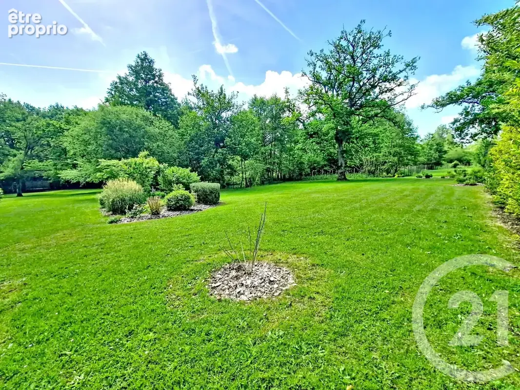 Maison 8 pièces 204 m² à vendre à Rochefort-En-Yvelines (78730) - photo 10