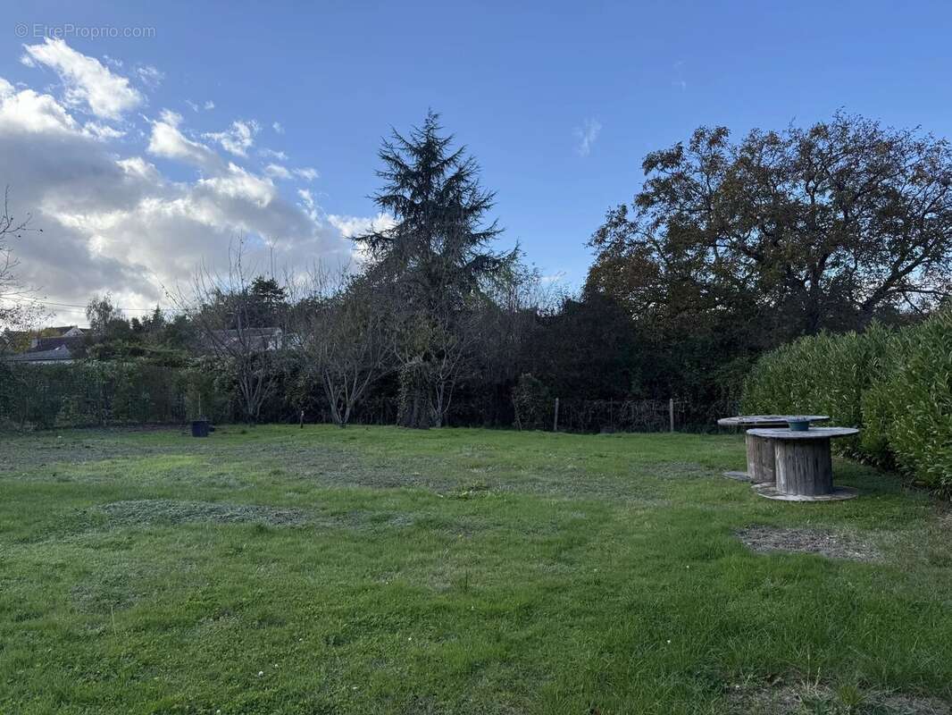 Terrain à SAINT-MARTIN-DU-TERTRE