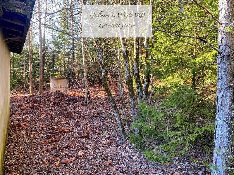 Commerce à MARTIGNAT