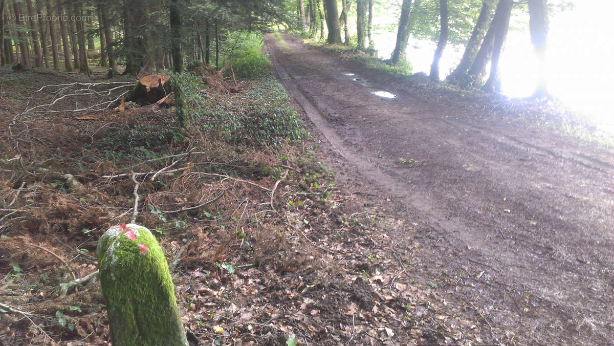 Terrain à PLOMBIERES-LES-BAINS