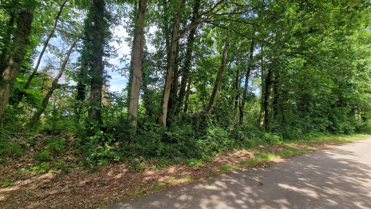 Terrain à COURCELLES-CHAUSSY