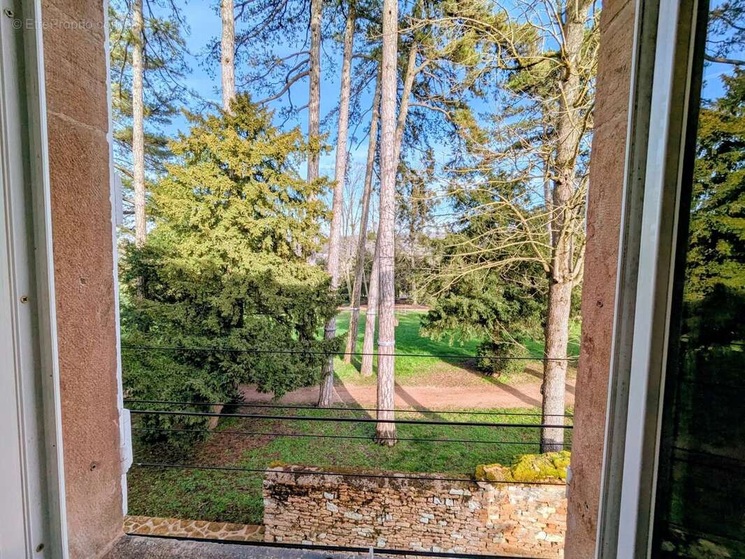 Maison 225 m² à Hurigny  - photo 9