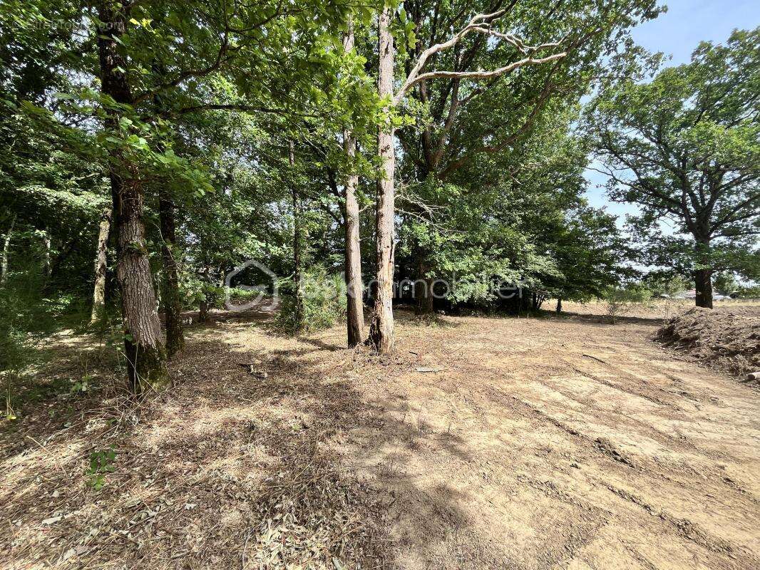 Terrain de loisirs de 5 995 m² - photo 2