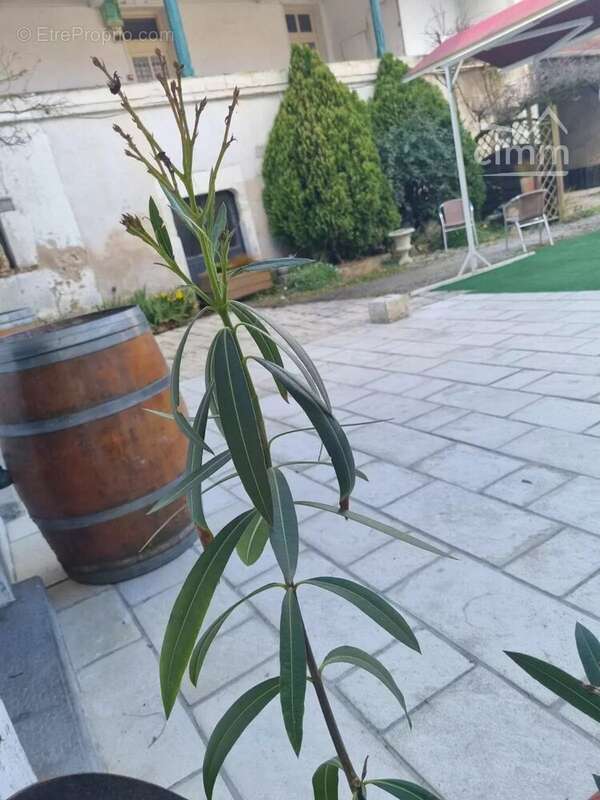 Commerce à SELLES-SUR-CHER