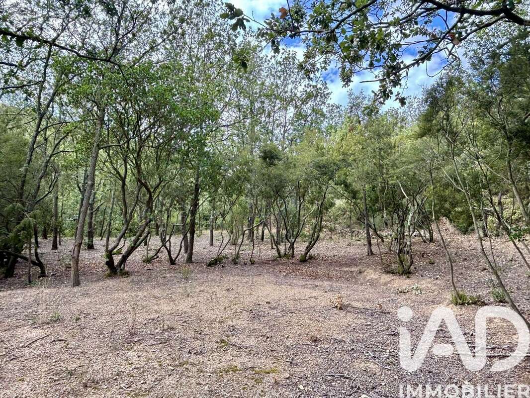 Photo 3 - Terrain à LA PALME