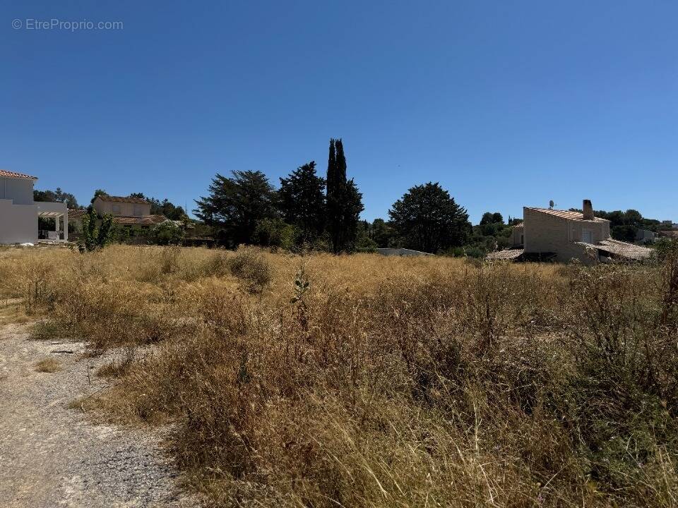 Terrain à BALARUC-LE-VIEUX