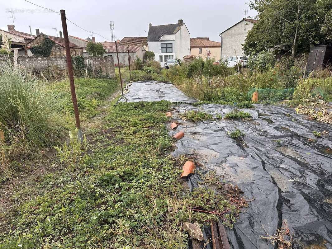 Maison à SAINT-PHILBERT-DE-BOUAINE