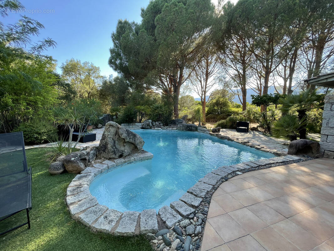 Maison à PORTO-VECCHIO