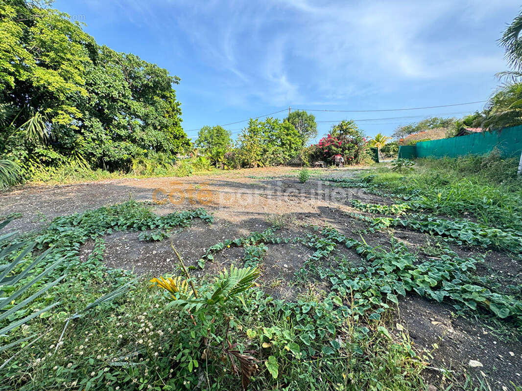 À VENDRE - Terrain plat et clôturé de 1 018 m² -Saint-François, secteur Bien Désiré - photo 3