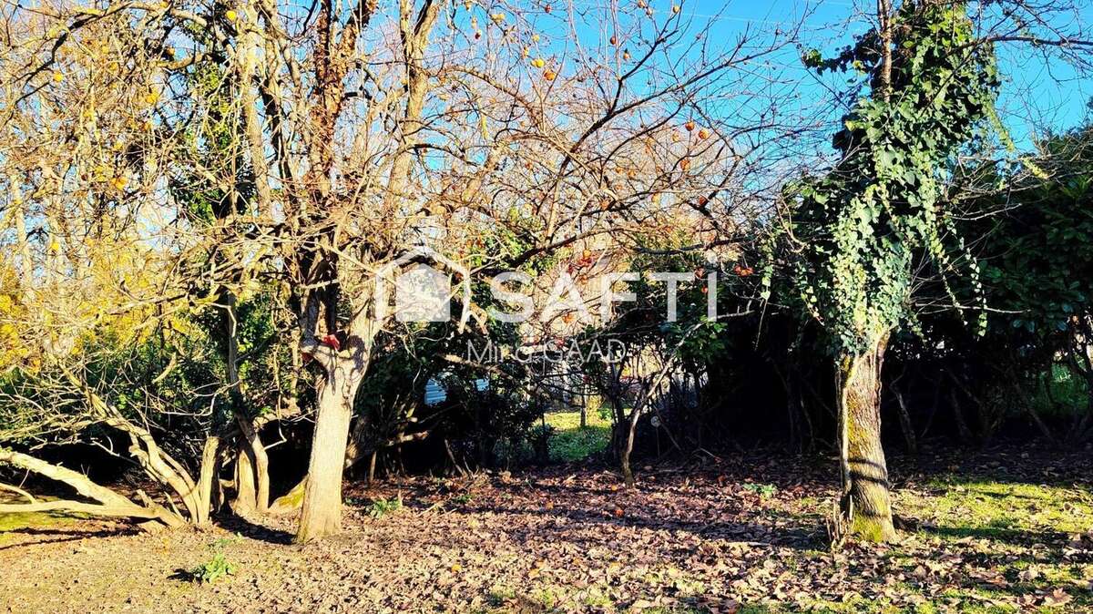 Photo 4 - Terrain à RABASTENS