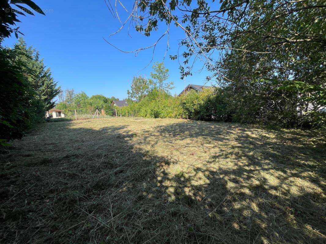 Terrain à vendre alby sur cheran - photo 3