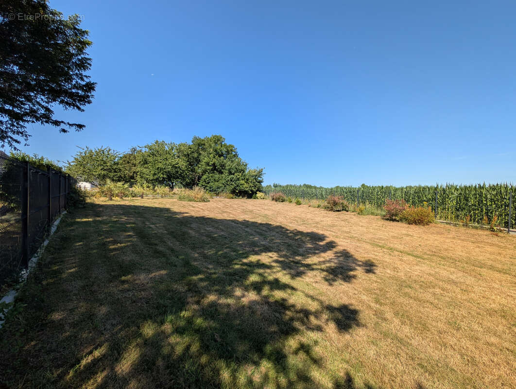 Terrain à PONT-SCORFF