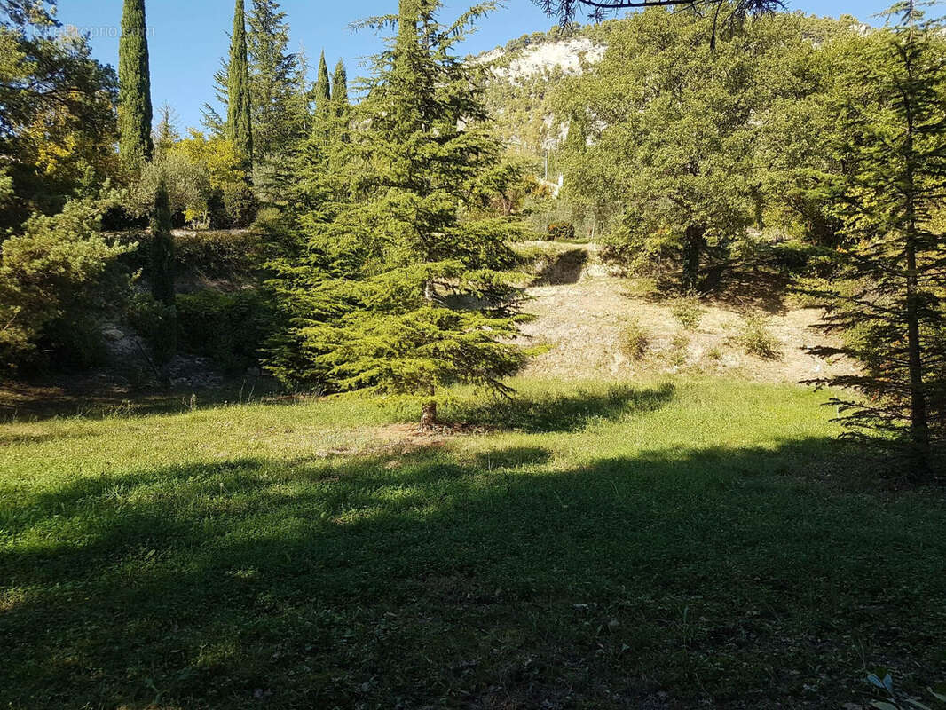 Terrain à LA ROCHE-SUR-LE-BUIS