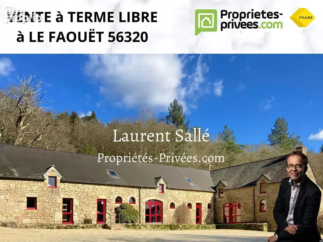 Ensemble de bâtisses en pierre:  VENTE A TERME LIBRE - photo 1